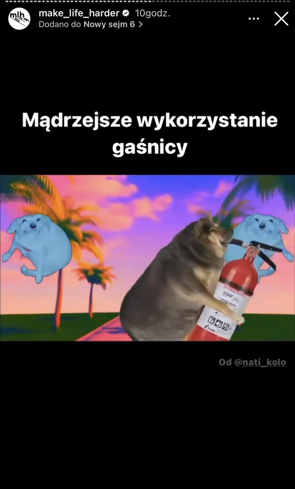 Memy z Grzegorzem Braunem 