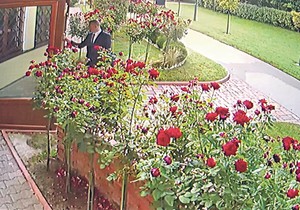 Roland Kokai, koga je Vlada Vojvodine imenovala za direktora, došao je u firmu u sedam sati, ali je uspeo da uđe tek dva sata kasnije