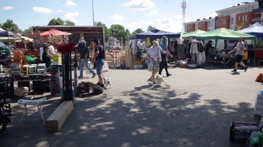 Screenshot 1-21-768x432