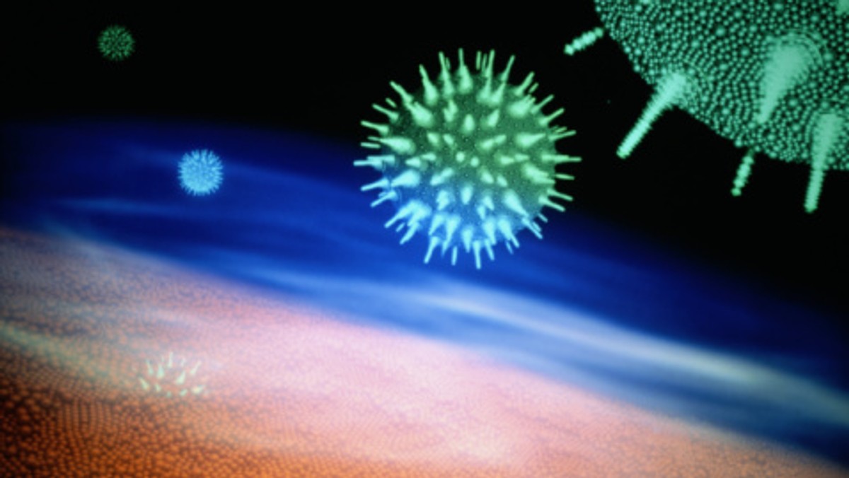 Po muszkach owocowych, myszach, psach, królikach i prosiakach przyszła kolej na fluorescencyjne koty. Jak informuje pismo "Nature Methods", te genetycznie zmodyfikowane stworzenia mają przyczynić się do opracowania leków i terapii genetycznej dla osób zakażonych wirusem HIV.