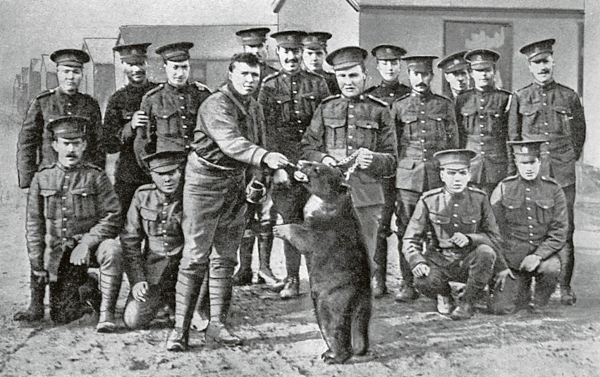 Medvedicu crnog krzna Vinipeg je u Prvom svetskom ratu doveo u Britaniju kanadski poručnik Hari Koulborn