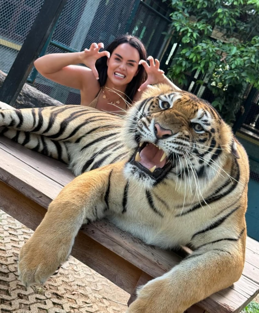 Tijana Milentijević