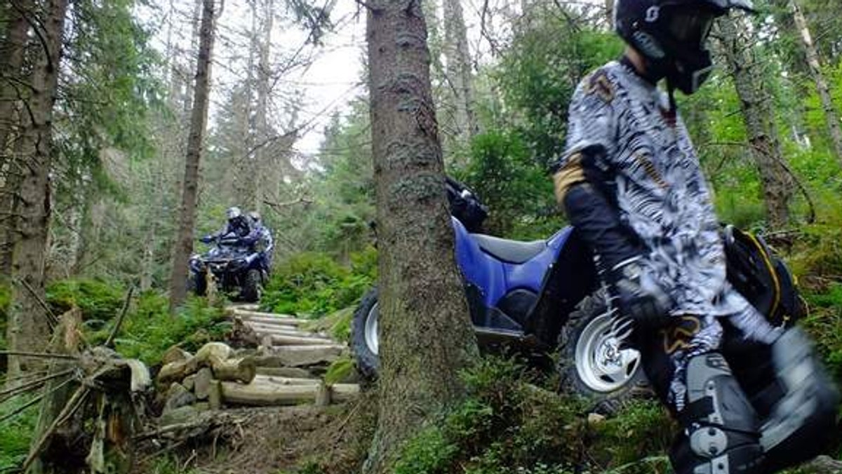 Warkot quadów i crossowych motocykli szarżujących po leśnych odstępach to w Bieszczadach prawdziwa plaga. Ekolodzy chcą zaostrzyć kary dla amatorów nielegalnych rajdów.