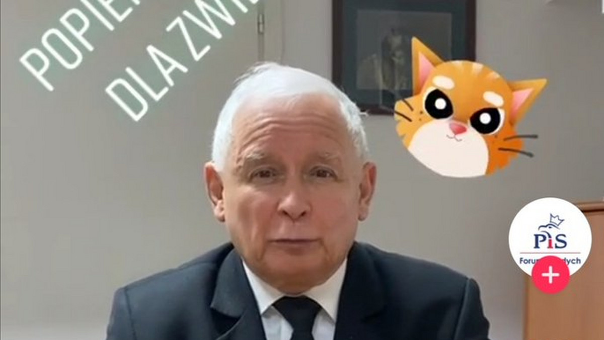 Jarosław Kaczyński na TikToku. Prezes PiS zachęca do poparcia "piątki dla zwierząt"