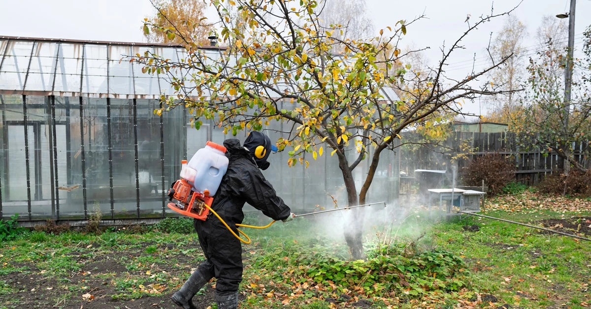 Wykonaj jesienny oprysk drzew, by nie stracić owoców w 2026 roku