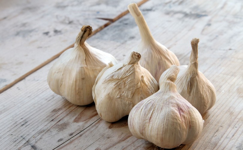 Czosnek – na odporność i bóle głowy