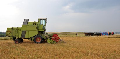 Ofiary śmiertelne w rolnictwie. Jak to wygląda w liczbach?