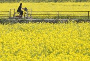 Niewielu rolników złożyło wnioski o dopłaty unijne