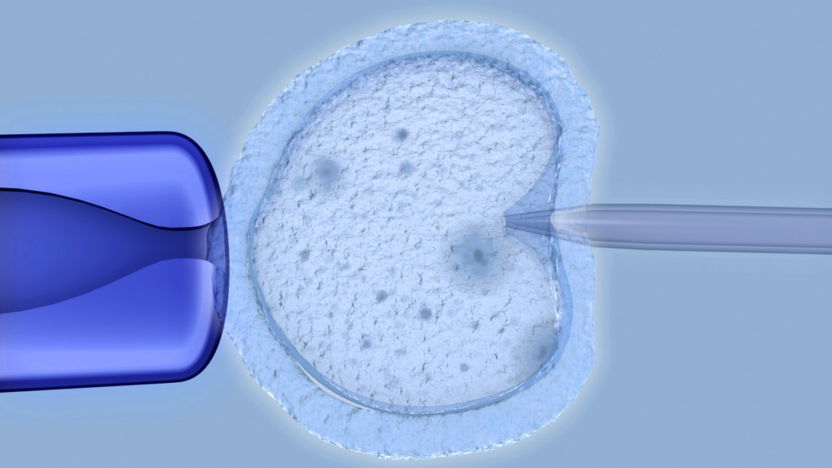 Lekarzem obwinionym w sprawie pomyłki podczas zabiegu in vitro w klinice w Policach (Zachodniopomorskie) zajmie się okręgowy sąd lekarski - poinformował rzecznik odpowiedzialności zawodowej Okręgowej Izby Lekarskiej w Szczecinie.