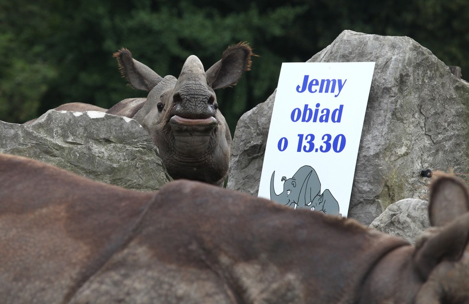 WARSZAWA ZOO POKAZY KARMIENIA