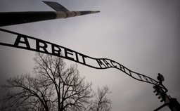 Najniższy krąg obozowego piekła. Karna kompania kobiet w KL Auschwitz