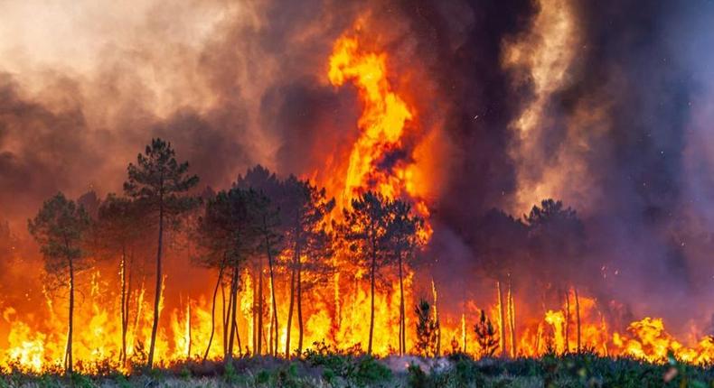 Incendie en Gironde