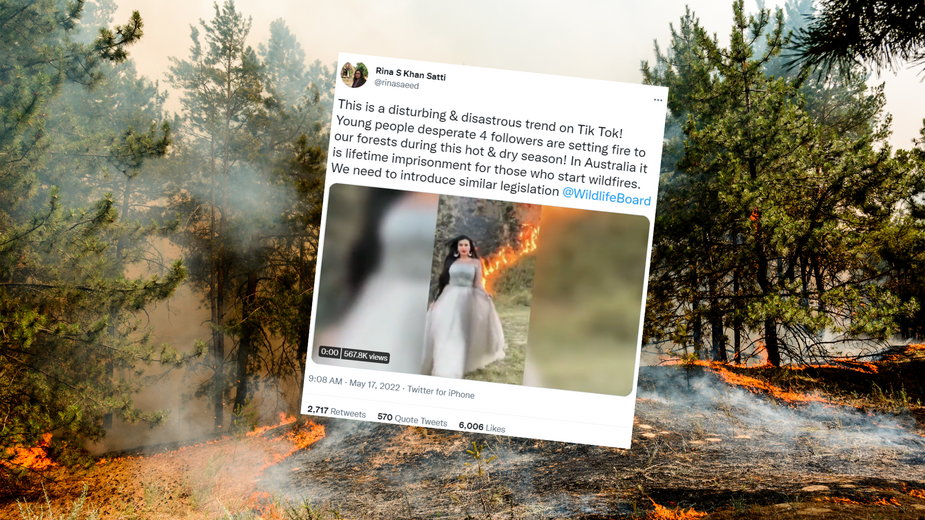 Podpalenia lasów — niebezpieczny trend na TikToku (fot. twitter.com/@rinasaeed)