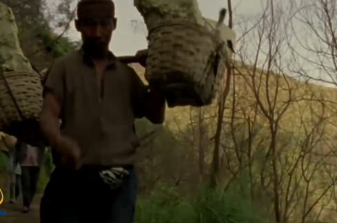 Najbardziej znany dokument o ludziach pracy. Jak to się stało, że ludzie wykonujący czynności, które kiedyś były szanowane i cenione, obecnie są wyszydzani i traktowani w sposób, który odbiera godność? Film rezygnuje z moralizatorstwa i nie ma wartościującego charakteru. W bardzo emocjonalny sposób obrazuje współczesnego robotnika, który każdego dnia zmaga się z materią. „Śmierć człowieka pracy” pokazuje życie robotników w Ukrainie, Indonezji, Nigerii, Pakistanie i Chinach. To ważny film chociażby dlatego, że wiele współczesnych tematów opowiada o szczytach władzy i wierzchołku finansowego ekosystemu, zupełnie zapominając o tych, którzy znajdują się na samym dole „łańcucha pokarmowego”.