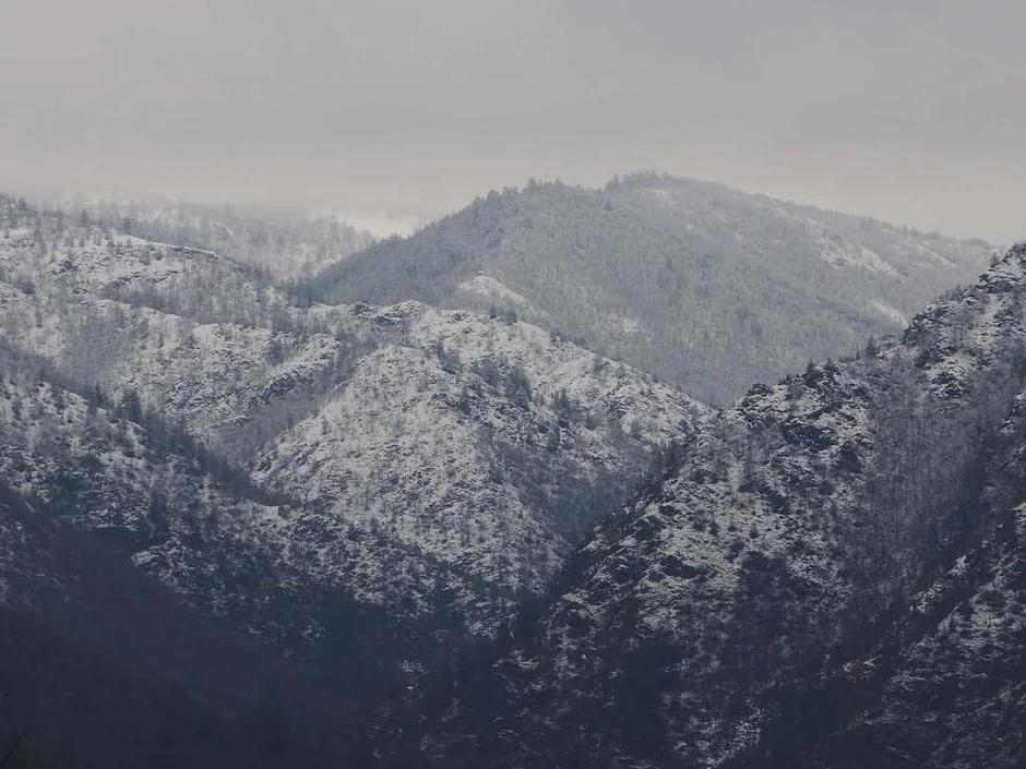 Šargan iznad Mokre Gore