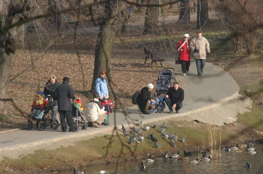 Będzie 15 stopni! Kiedy? Zdziwisz się...