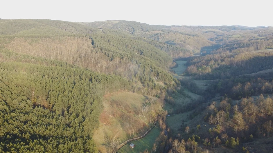 Proslava Prvog maja u suvoborskom kraju