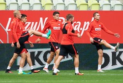 Ekstraklasa: Prezes Ruchu liczy, że dzięki powołaniu Stępińskiego na Euro 2016 klub sporo zarobi na jego transferze