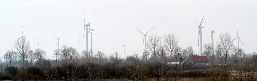 W gminie Darłowo jest 117 wiatraków. To rekord Polski