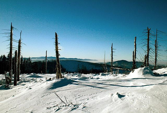 Galeria Polska - Beskid Śląski, obrazek 8