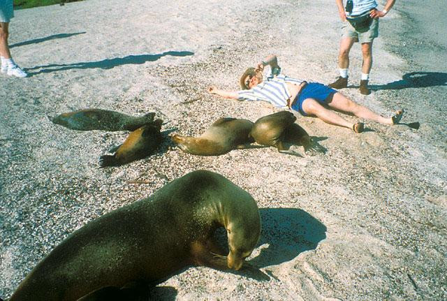 Galeria Ekwador - Wyspy Galapagos, obrazek 9