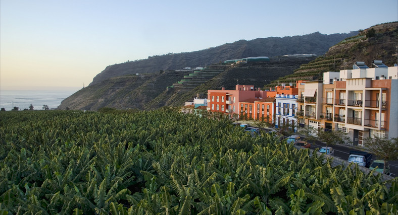 La Palma - Tazacorte 