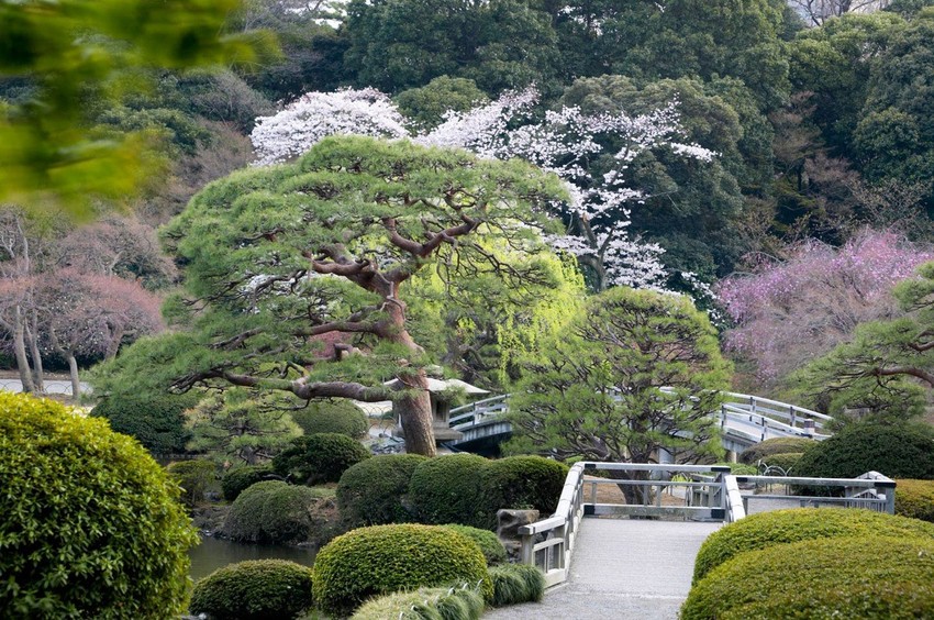 Bašta je zbog plašljivog čuvara izgubila 220.000 dolara prihoda 