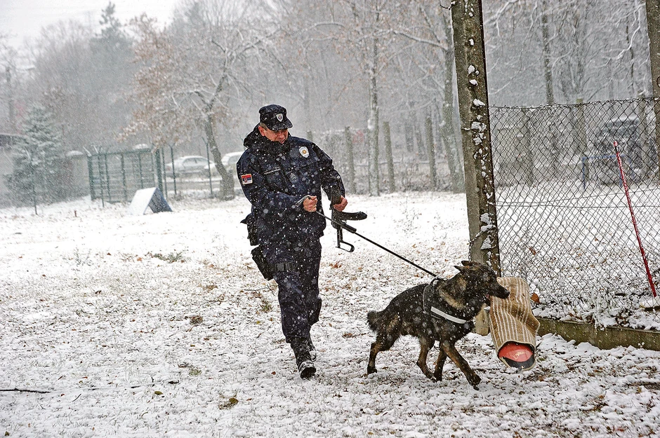 Pas mora da ispuni stroge kriterijume pre dolaska u jedinicu MUP