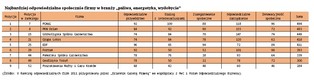 Najbardziej odpowiedzialne społecznie firmy w branży „paliwa, energetyka, wydobycie” - ranking