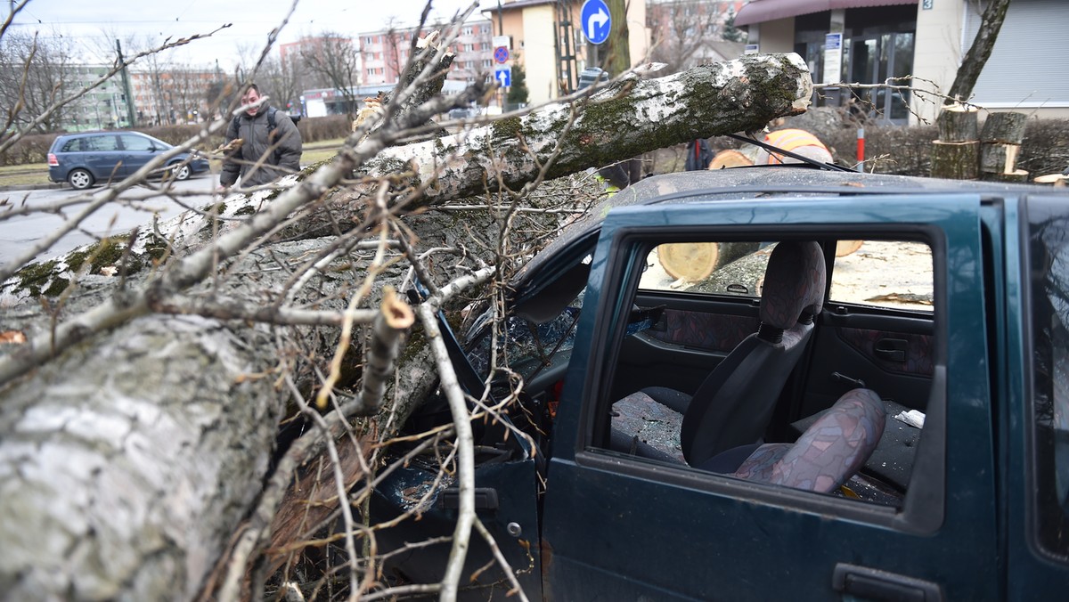 Ucichły huraganowe wiatry wiejące nad Małopolską. Wczoraj wieczorem małopolscy strażacy interweniowali 540 razy; noc minęła bez większych zagrożeń – poinformował rzecznik małopolskiej straży pożarnej Sebastian Woźniak.