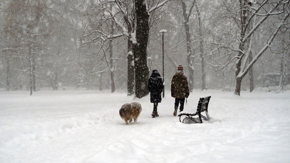 pogoda, zima, śnieg