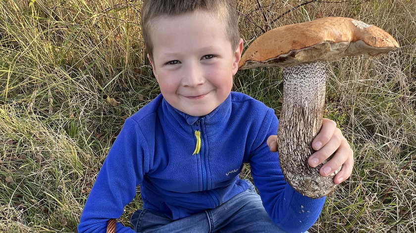 Dziewięcioletni Olek znalazł piękny okaz. Mama będzie wiedziała, co zrobić z takim wspaniałym koźlakiem