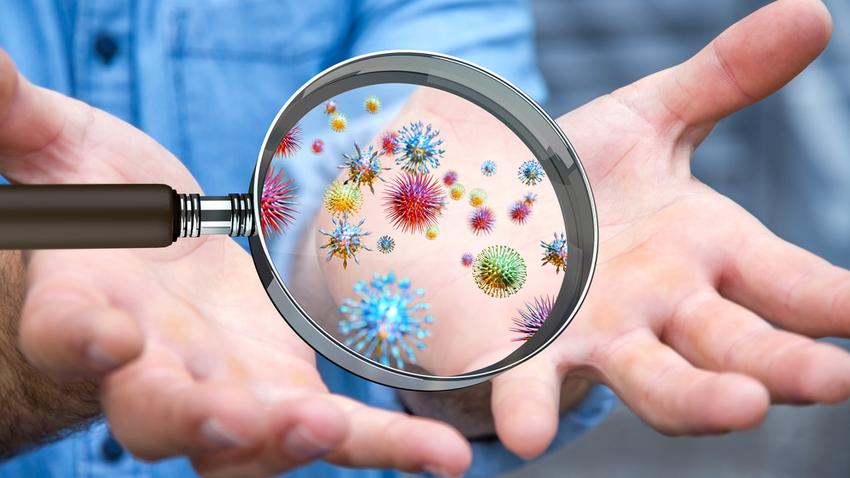 Magyar kutató tárta fel a kórokozók számának hatását immunrendszerünkre |  EgészségKalauz
