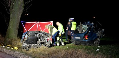 Tragiczna śmierć matki z maleńkim dzieckiem. Ich auto zderzyło się z dzikiem