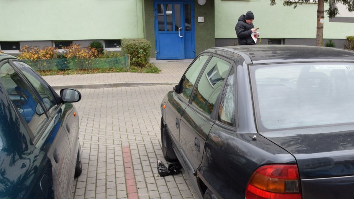 Chłopcy w wieku od 14 do 17 lat wczoraj po południu szli jedną z ulic w Kutnie. Mijając zaparkowane samochody urywali im lusterka lub rysowali karoserię. Wszyscy byli pod wpływem alkoholu.