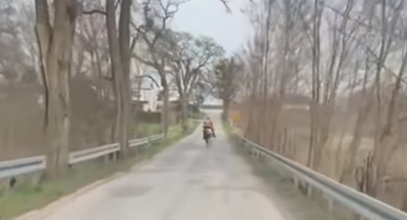 W Międzychodzie jak na Dzikim Zachodzie. Galopem uciekał przed policją. Film robi furorę!