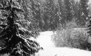 Z pogodą można tylko przegrać: co płynie z historii zmian klimatycznych?