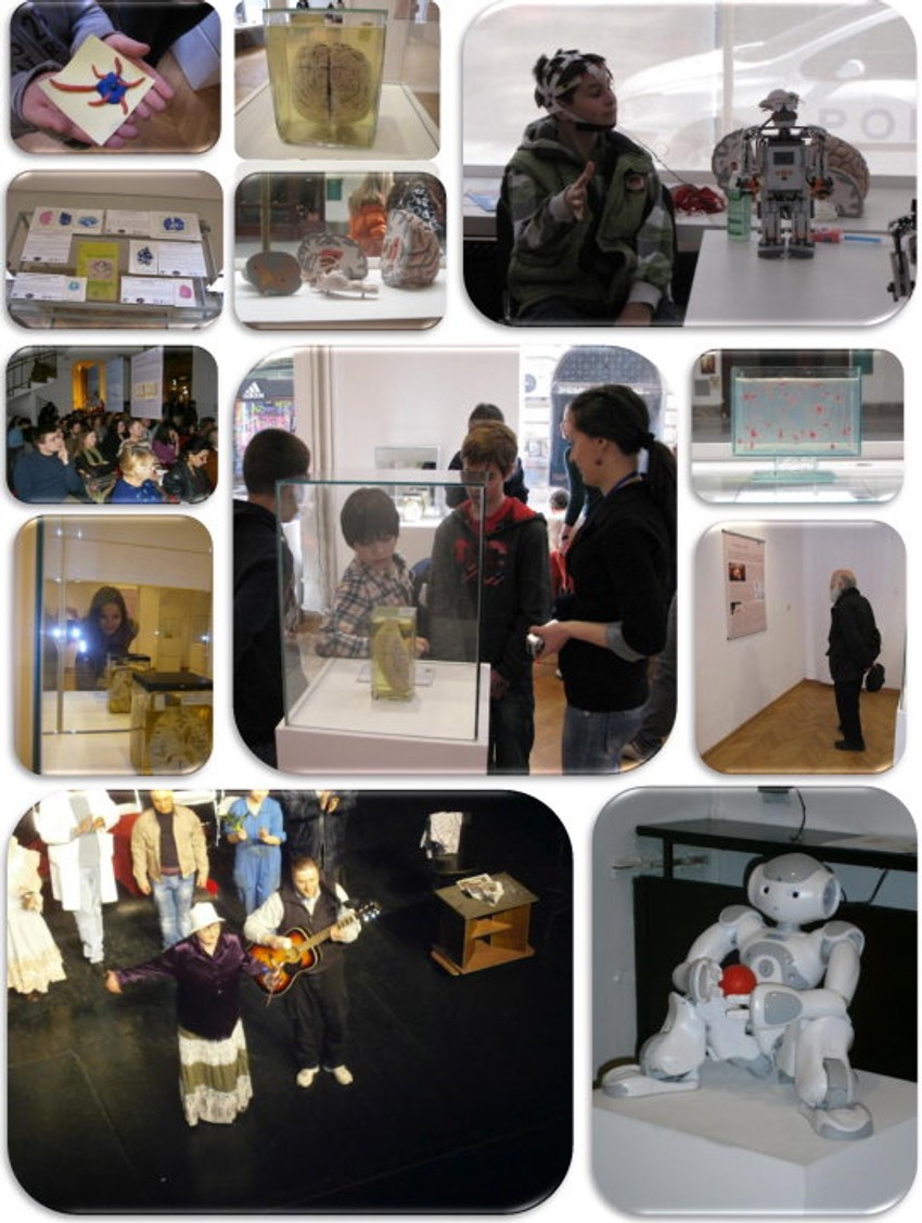 Nedelja svesti o mozgu od 11. do 17. marta na 14 lokacija u Beogradu