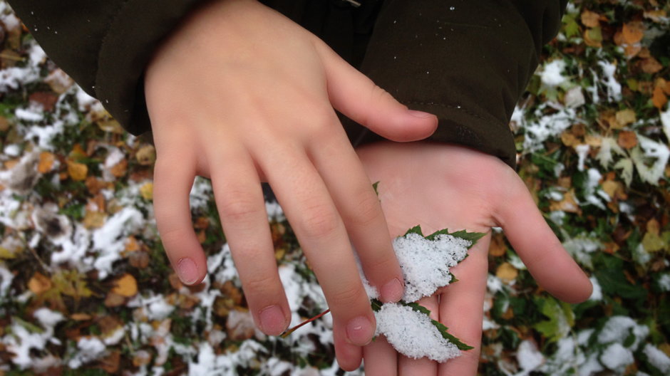Pierwszy śnieg w Polsce (Zdjęcie ilustracyjne)