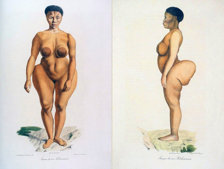 Rycina z wyglądem Saartjie Baartman