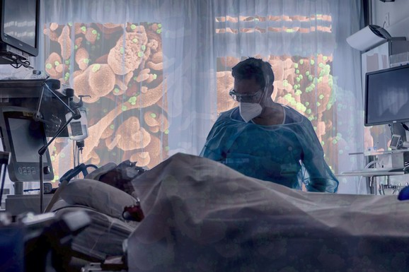 OPASNA MUTACIJA VIRUSA HARA SRPSKIM KOMŠILUKOM Stručnjaci UPOZORAVAJU na komplikacije, ima MRTVIH: "Ovakvu situaciju nismo imali od KORONE"