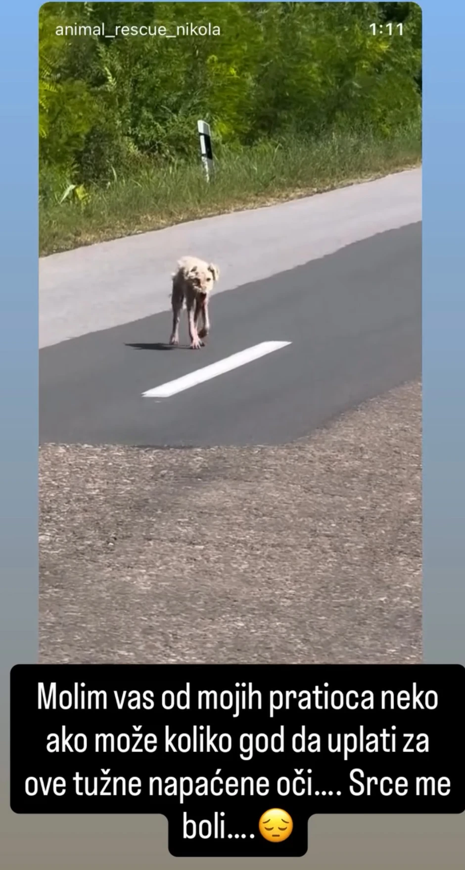 Molim vas, ako ne može da uplati: Luna Đogani uputila hitan apel, potresena