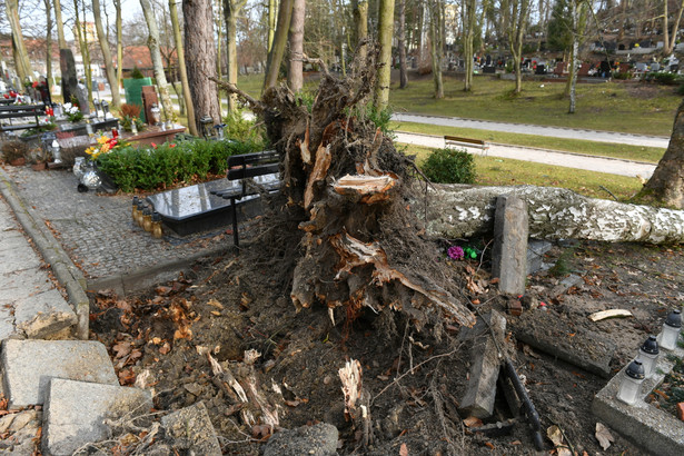 Skutki wichury na Cmentarzu Srebrzysko w Gdańsku