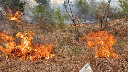 Požari na otvorenom