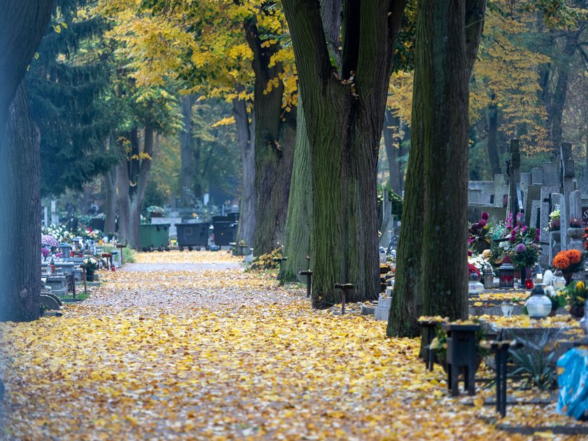 Płacz i rozczarowanie przed cmentarzami