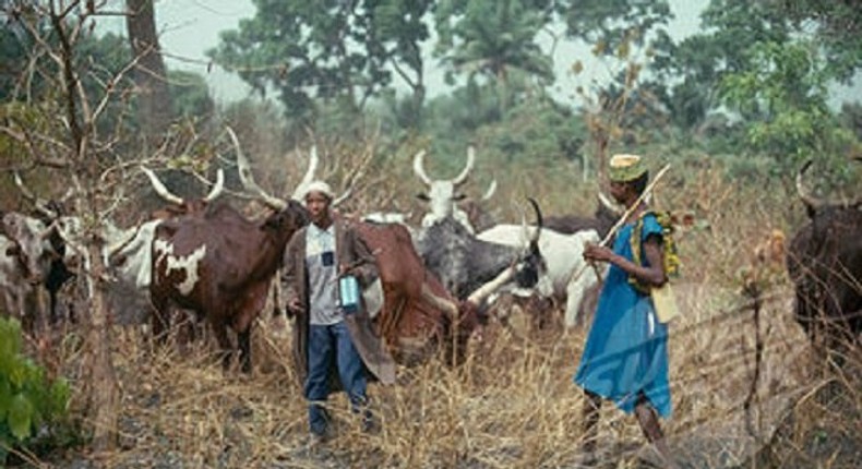 Fulani herdsmen