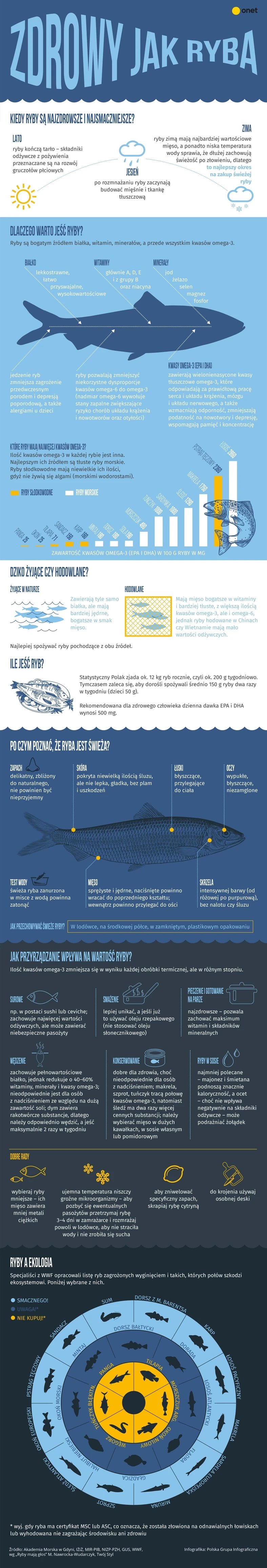 Ryby infografika