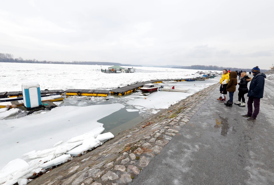 Led na Zemunskom keju