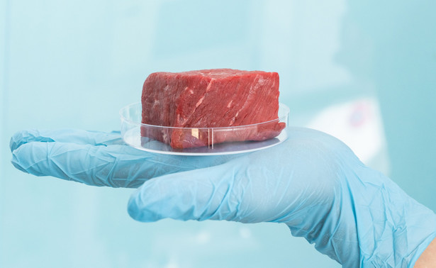 W Polsce rozpoczęto prace nad wyhodowaniem mięsa komórkowego