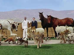 Amerykańskie bractwo rozśmieszaczy